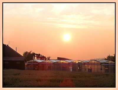 Sun on a greenhouse