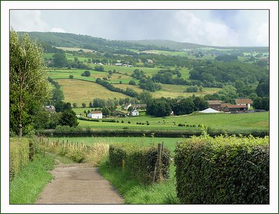 View at the valley on a summer day