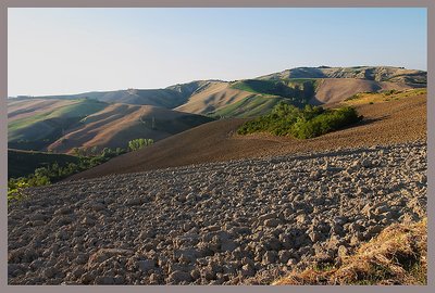 Fields and Hills