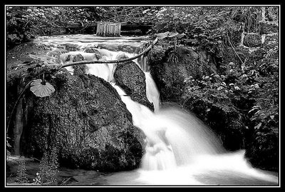 Waterfall in BW