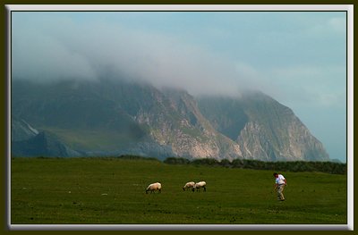 He has company, Achill island