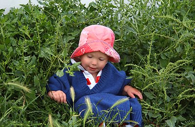 Gardening