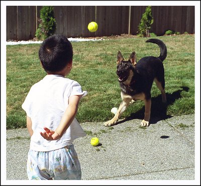 Boy, Ball & Dog