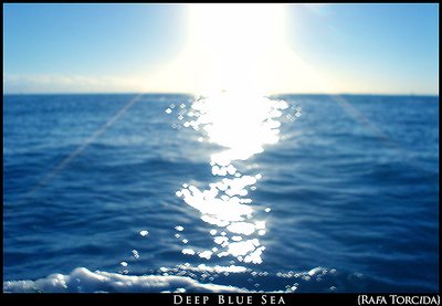 Deep Blue Sea