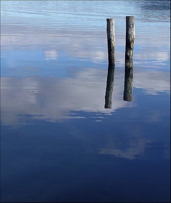 Blue Reflections