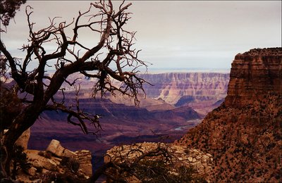 Grand Canyon #1