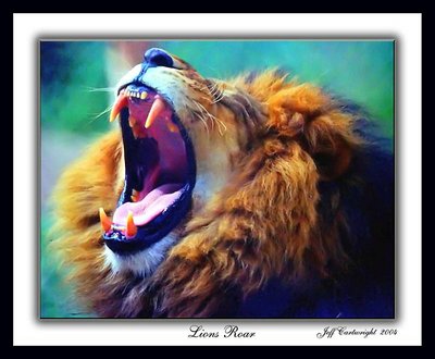 Lions Roar!