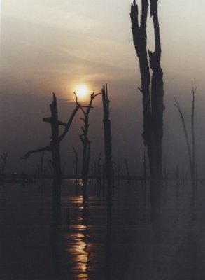 Lake Fork Sunset