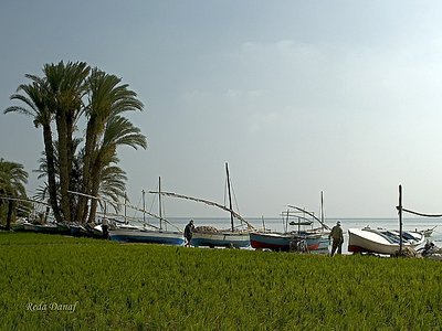 Fishing Boats 3