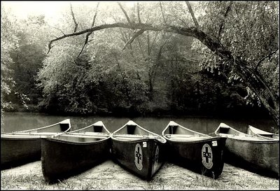Canoes by South Fork River