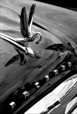 Packard (B&W)