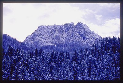 Natural Cold