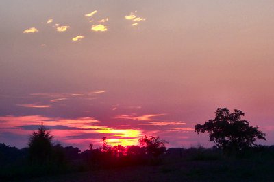 Texas Sunset