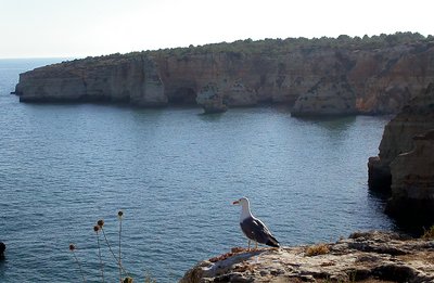 Algarve Shore