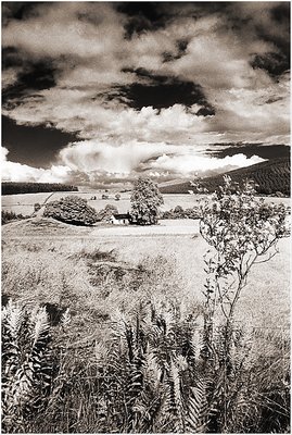  Cottage in Glenclova