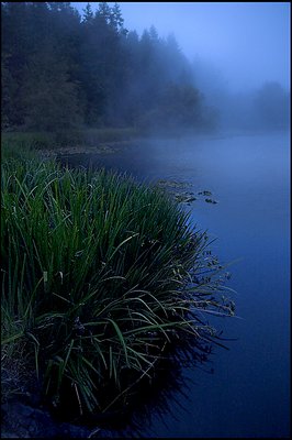 Misty Blue