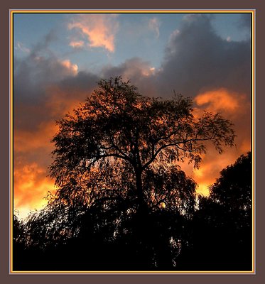 The Sky in Flames
