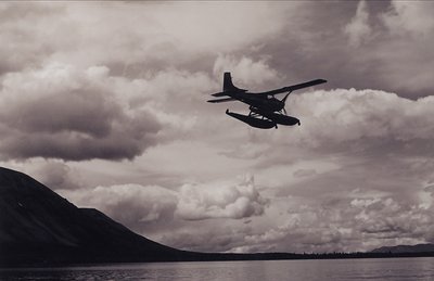 silhouette of a bush pilot