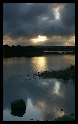 Reflections on The Cove