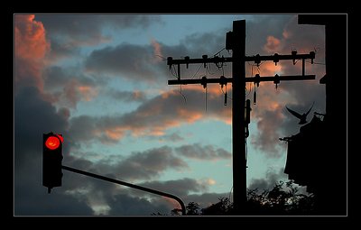 Traffic light and..............Evening Flight