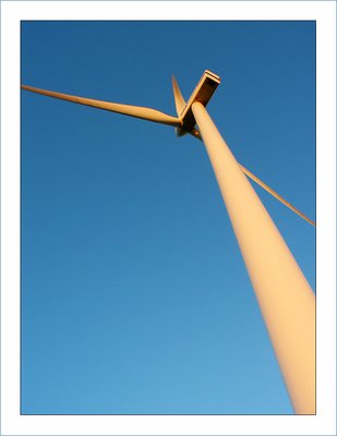 Windmill in the sunset