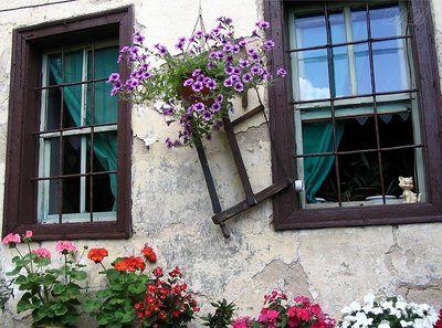 Old House & Flowers