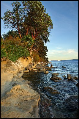 Stone Wave