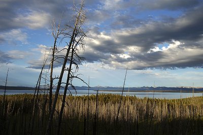 Roadside view of Yellowstone Lake