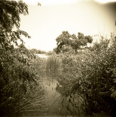 Pond 1