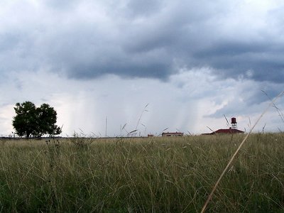 Refreshing Summer Rain