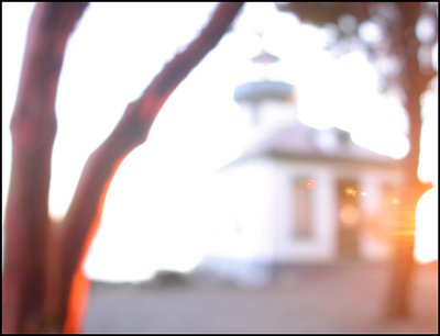 lighthouse, arbutus & sunset 2           