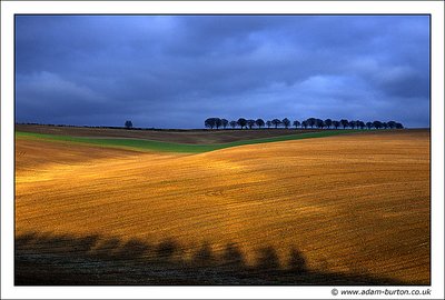 Casting Shadows