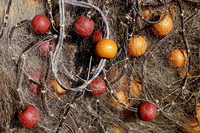 net balls