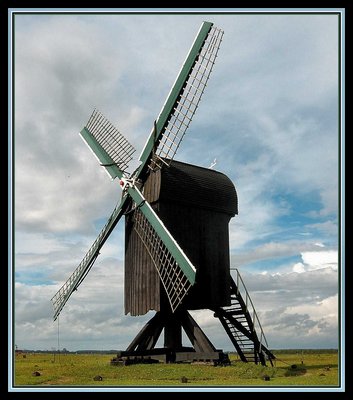 "Standaard " Cornmill