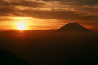 Orange Fuji