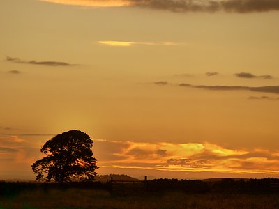 Evening glow