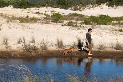 Man and dog at dune