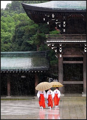rainy walk