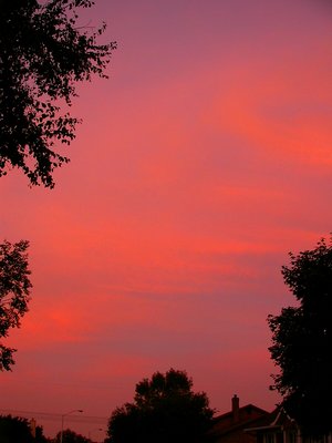 You are looking at the North Eastern part of the sky displaying special colours sunset.