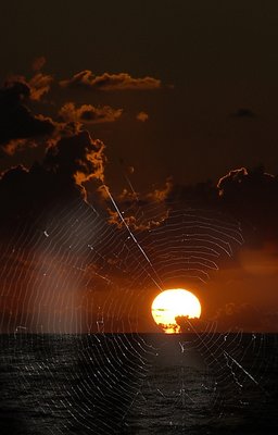 Sunset from the web