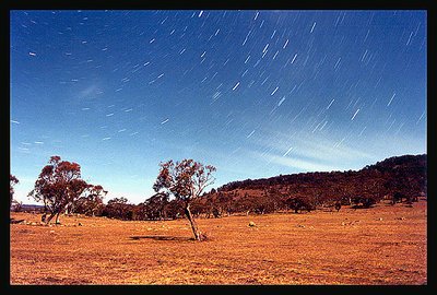 Thredbo's Better