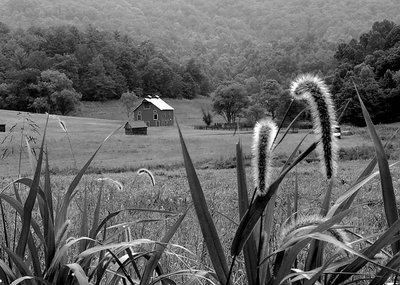 Green Acres in BW