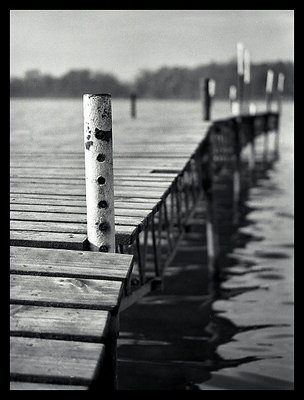 the bridge and the horizon