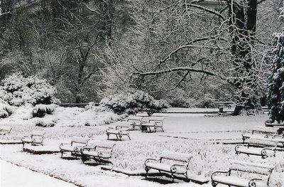 Winter in Warsaw