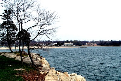 A windy afternoon