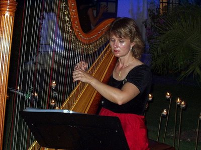 Harpist