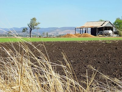 Queensland Farm