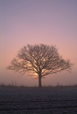 Backlight in Colour