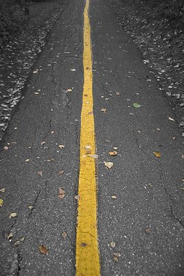 Autumn Running Path