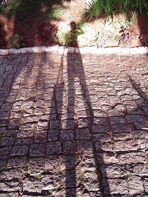 my shadow